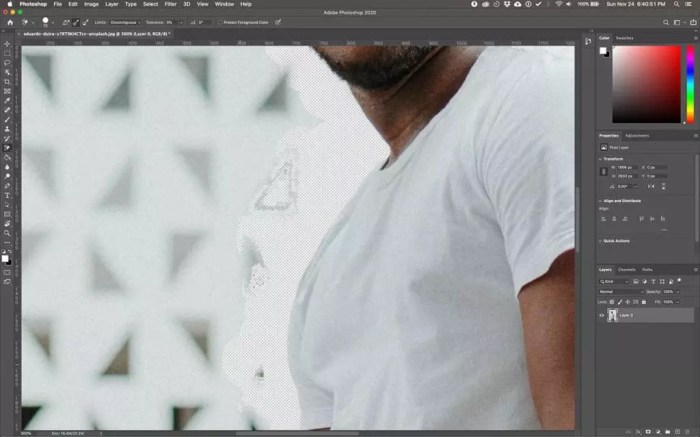 How to Remove Backgrounds in Photoshop Like a Pro