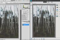 Adobe Photoshop CC vs Photoshop Elements: Key Differences