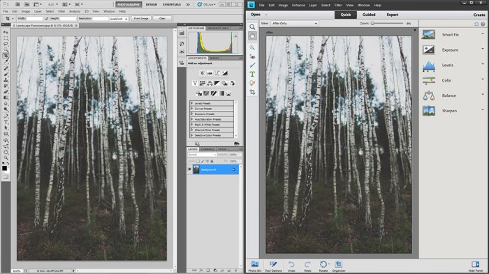 Adobe Photoshop CC vs Photoshop Elements: Key Differences