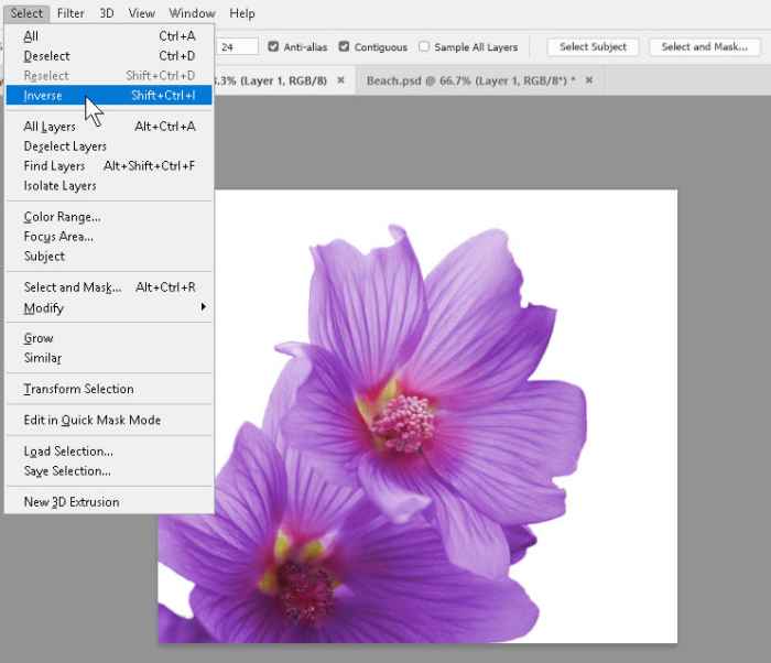 Photoshop tricks tips hints using skillforge Photoshop tips and tricks