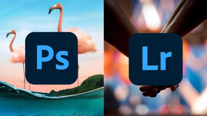 Lightroom Photoshop vs Lightroom: Which One Should You Use?