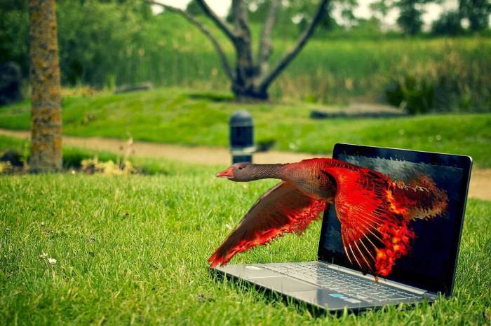 Mistakes photoshop Mistakes photoshop