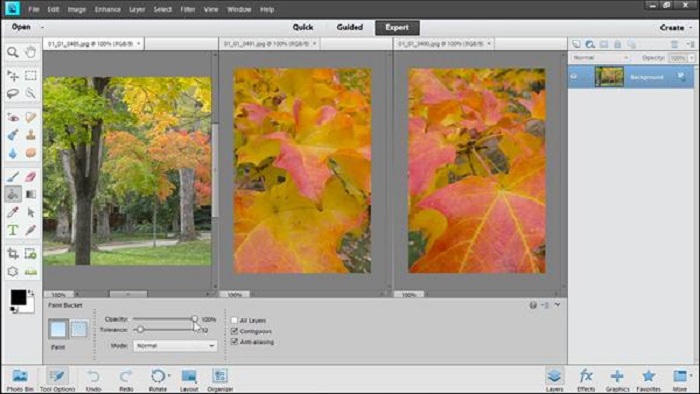 Adobe Photoshop CC vs Photoshop Elements: Key Differences