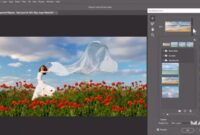 How to Use Photoshop: Step-by-Step for Beginners