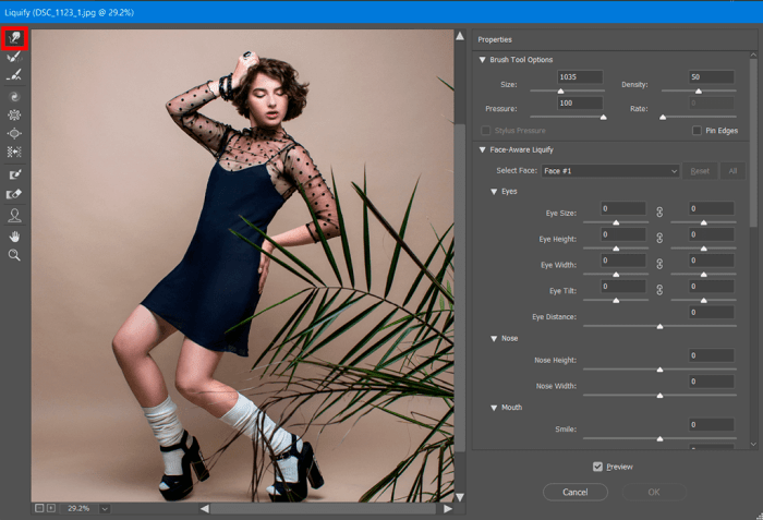 Photoshop liquify tool tips