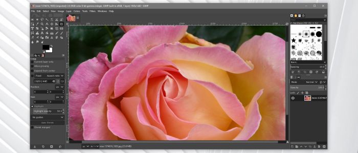 Gimp editor blurry review most helpful reviews techradar fixers software Gimp editor blurry review most helpful reviews techradar fixers software