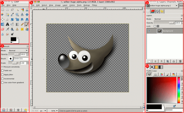 GIMP
