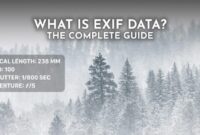 EXIF data