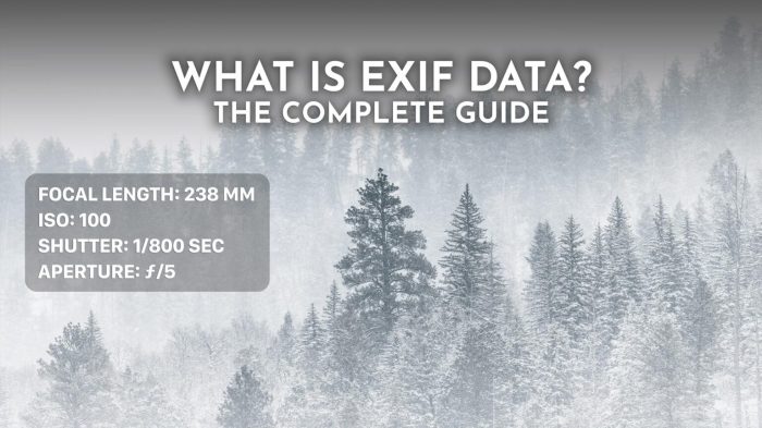 Exif data location jeffrey viewer manipulating using need know including below detail would upload when will like EXIF data